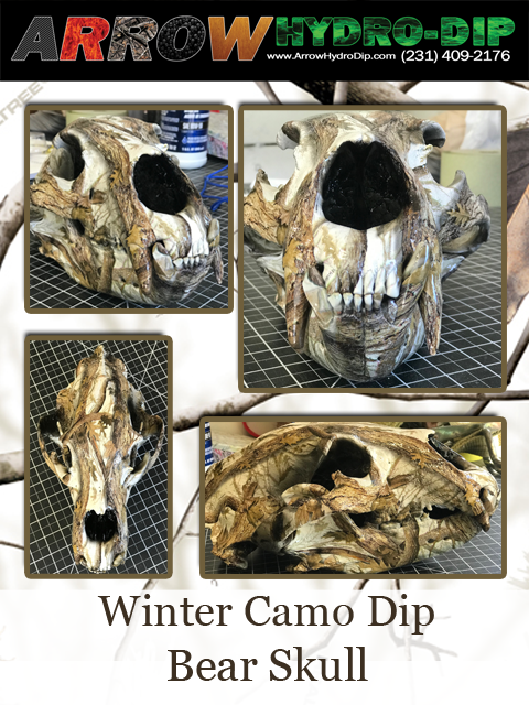 bear skull hydrodip